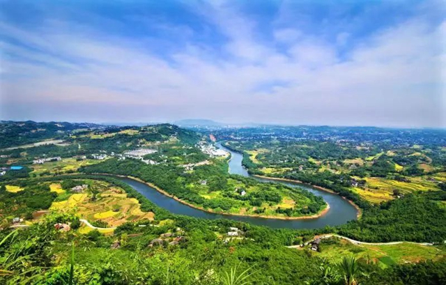 泸州纳溪茶园变景区 茶旅融合成就乡村振兴新传奇